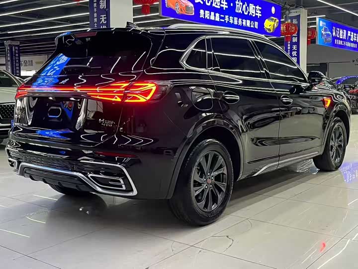 Фото 7 - Hongqi HS5