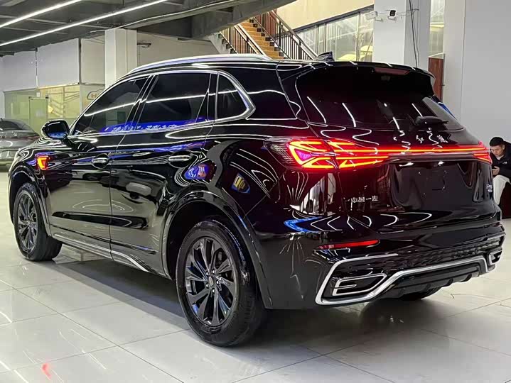 Фото 9 - Hongqi HS5