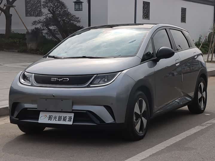 Фото 1 - BYD Dolphin