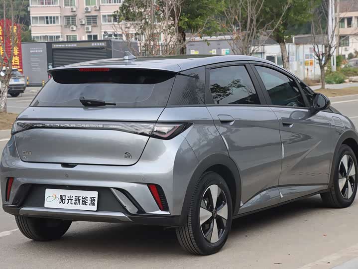 Фото 4 - BYD Dolphin