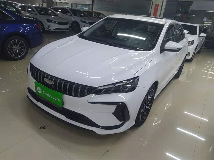 Фото 2 - Geely Binrui