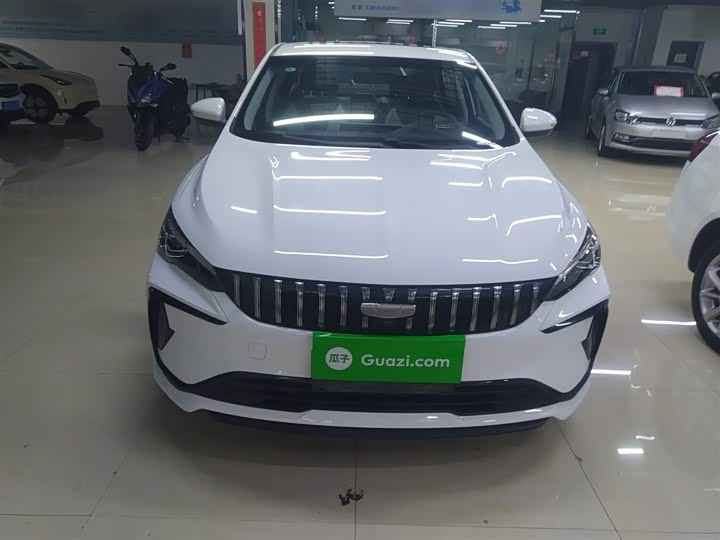 Фото 3 - Geely Binrui