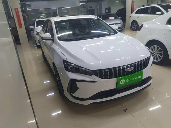 Фото 4 - Geely Binrui