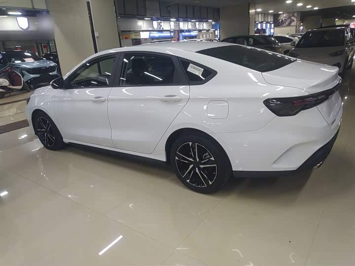 Фото 5 - Geely Binrui