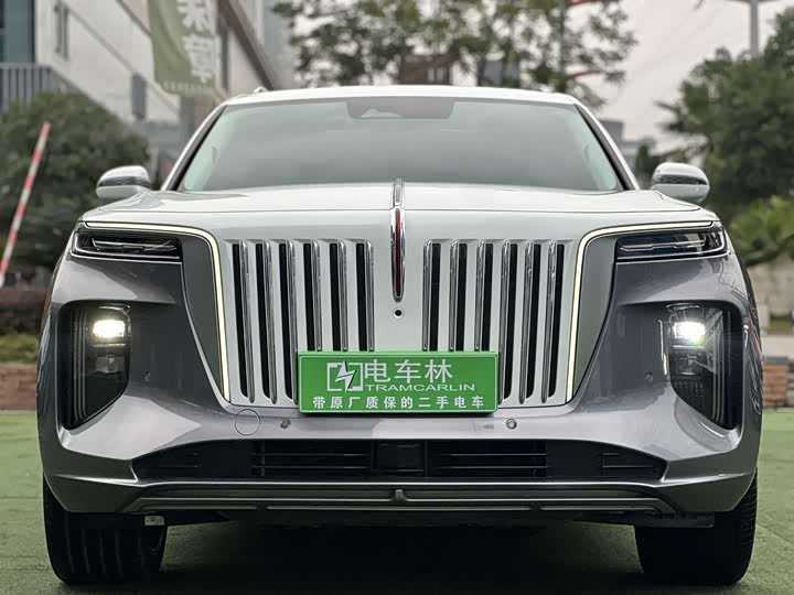 Фото 2 - Hongqi E-HS9