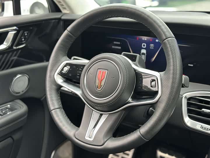 Фото 8 - Hongqi E-HS9