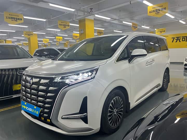 Фото 1 - Denza D9