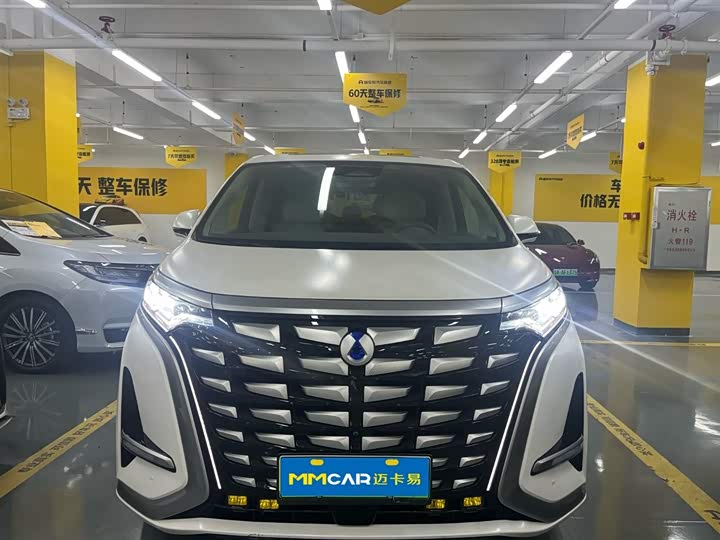 Фото 4 - Denza D9