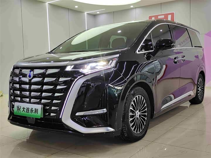 Фото 1 - Denza D9