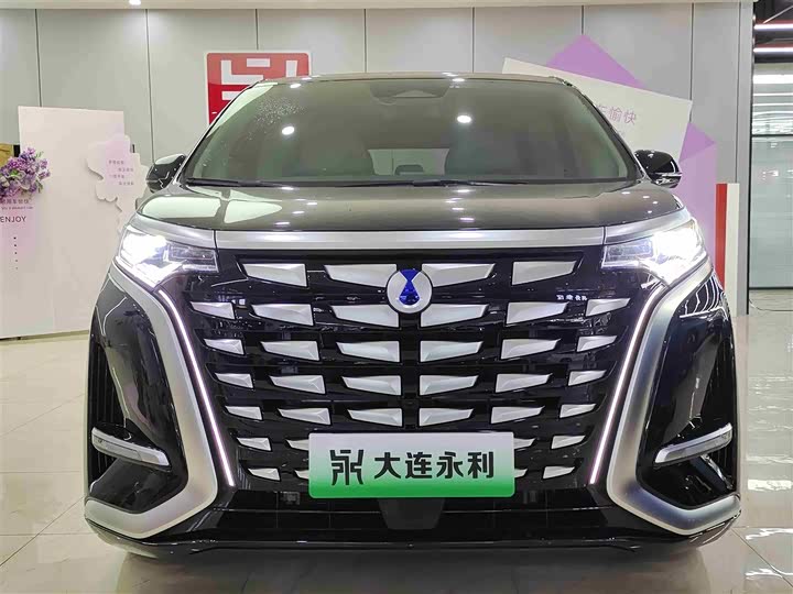 Фото 2 - Denza D9