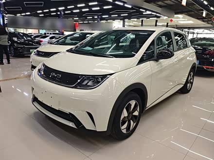 Фото 1 - BYD Dolphin