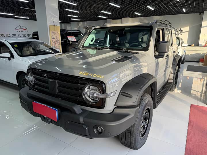 Фото 1 - Tank 300