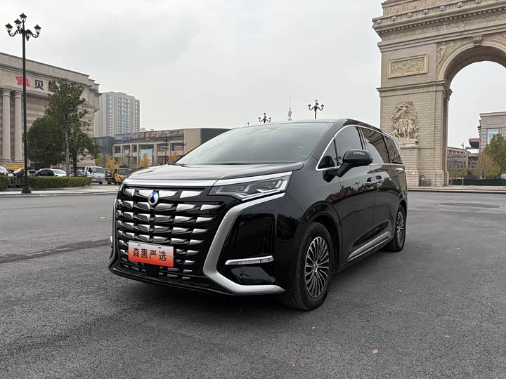 Фото 1 - Denza D9