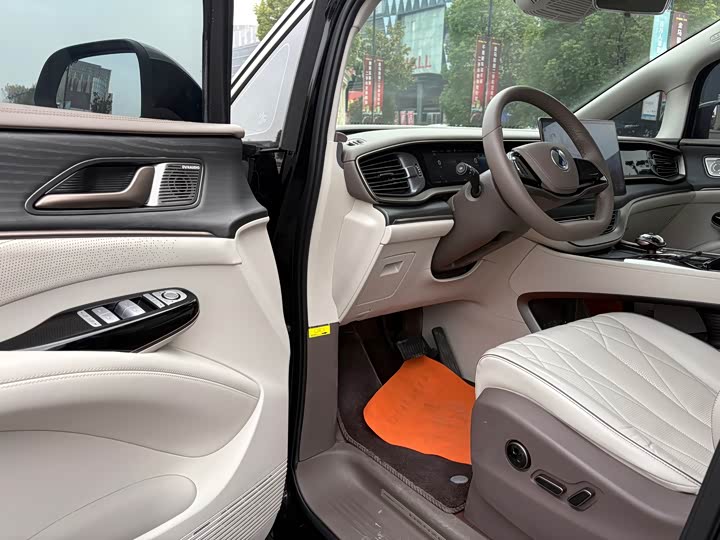 Фото 6 - Denza D9