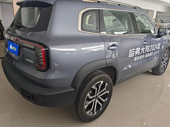 Фото 3 - Haval Dargo