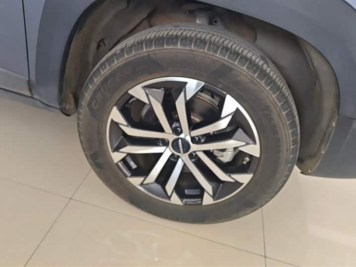 Фото 6 - Haval Dargo