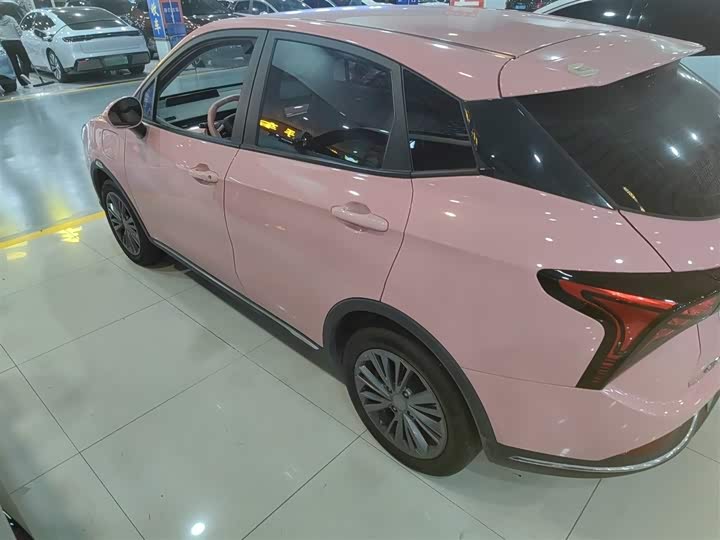 Фото 5 - Hozon V