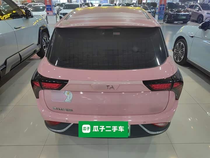 Фото 6 - Hozon V