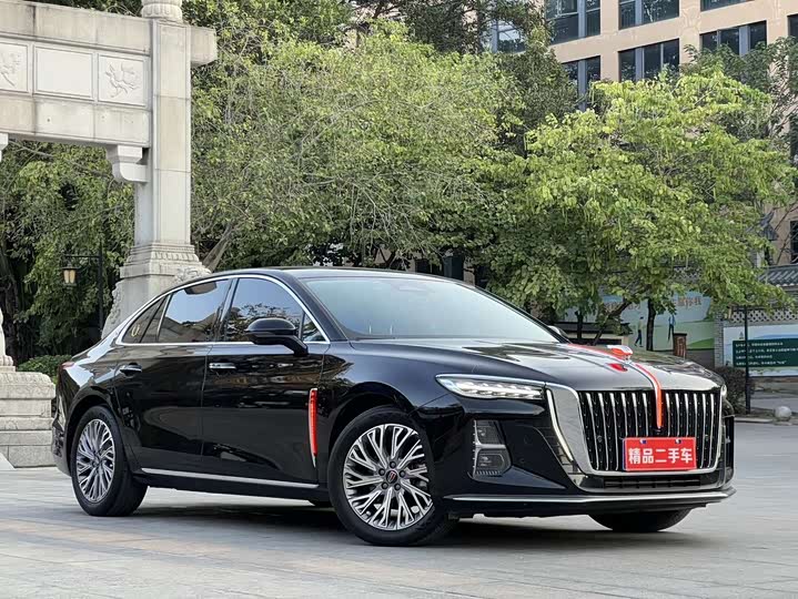 Фото 3 - Hongqi H5