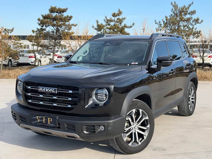 Фото 1 - Haval Dargo