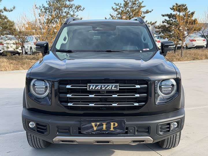 Фото 2 - Haval Dargo