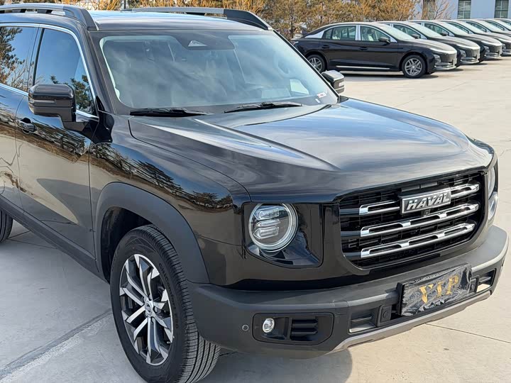 Фото 3 - Haval Dargo