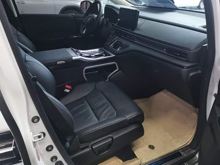 Фото 8 - Honda Elysion