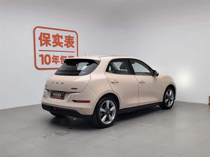 Фото 2 - Ora Good Cat (03)