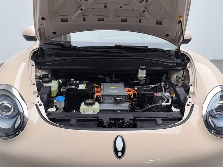 Фото 6 - Ora Good Cat (03)