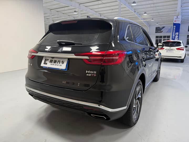 Фото 4 - Hongqi HS5
