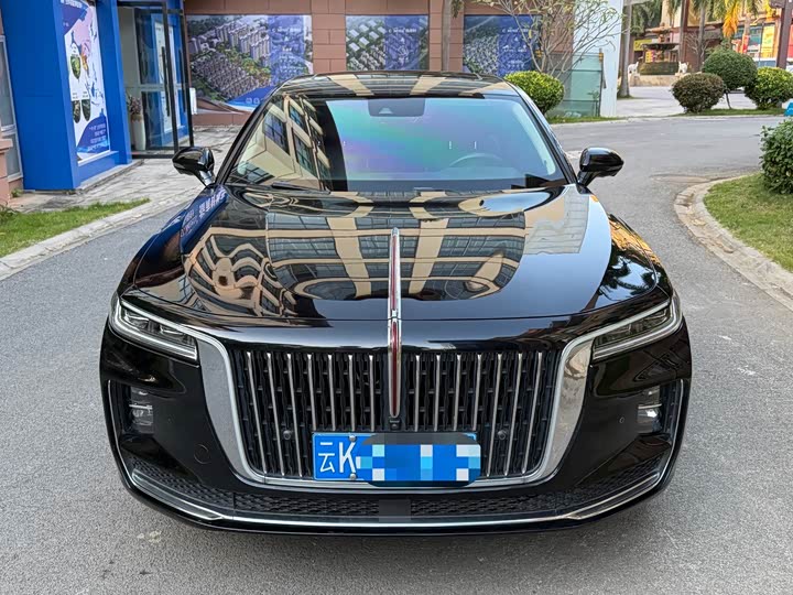 Фото 2 - Hongqi H9