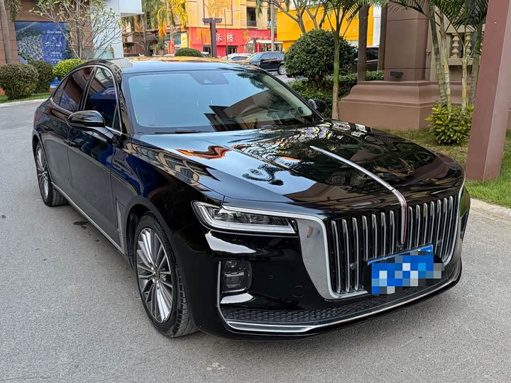 Фото 3 - Hongqi H9