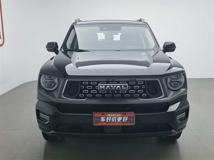 Фото 3 - Haval H-Dog