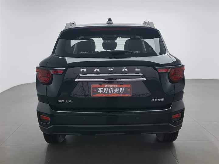 Фото 4 - Haval H-Dog