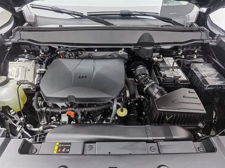 Фото 6 - Haval H-Dog