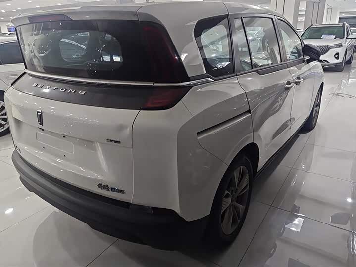 Фото 3 - Bestune NAT