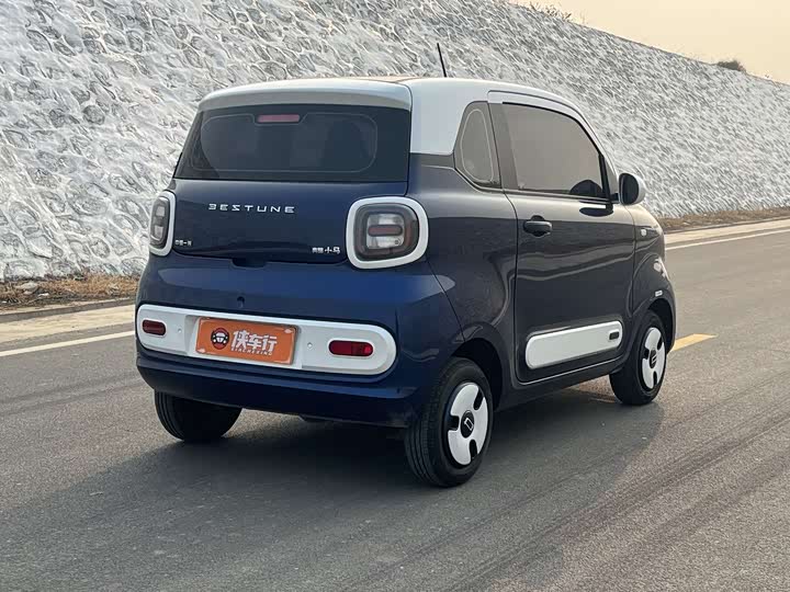 Фото 4 - Bestune Pony