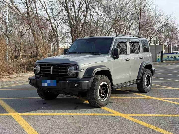 Фото 1 - Tank 300