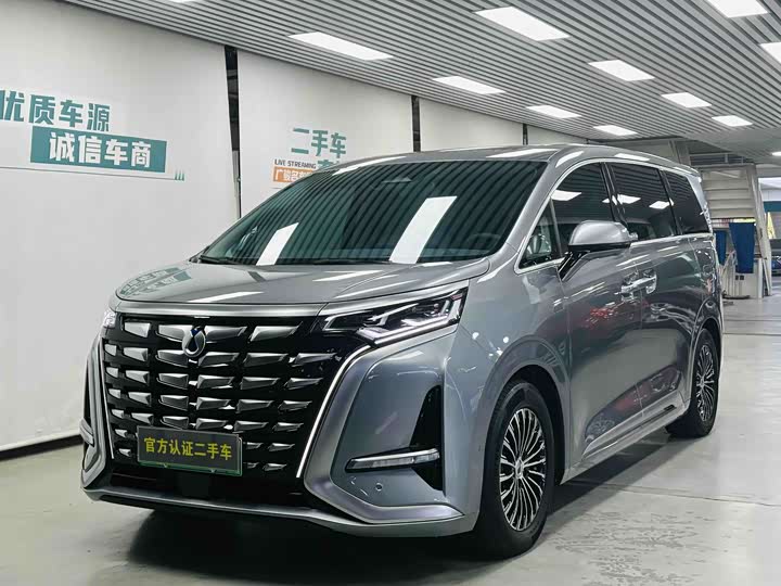 Фото 1 - Denza D9