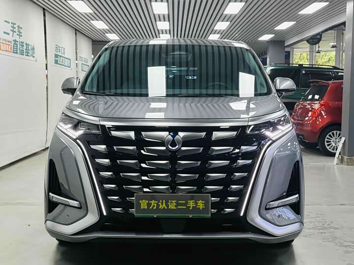 Фото 2 - Denza D9