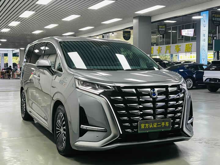 Фото 3 - Denza D9