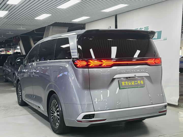 Фото 4 - Denza D9