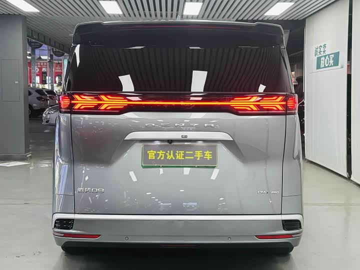 Фото 5 - Denza D9