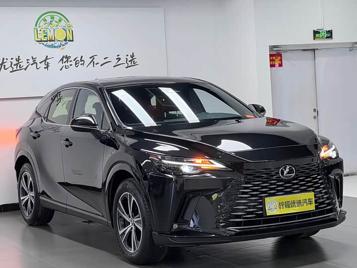 Фото 3 - Lexus RX