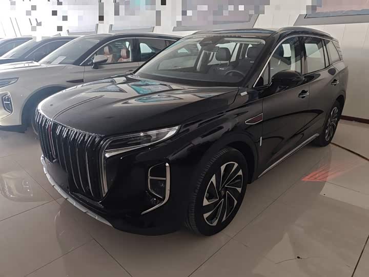 Фото 2 - Hongqi HS7 Hybrid