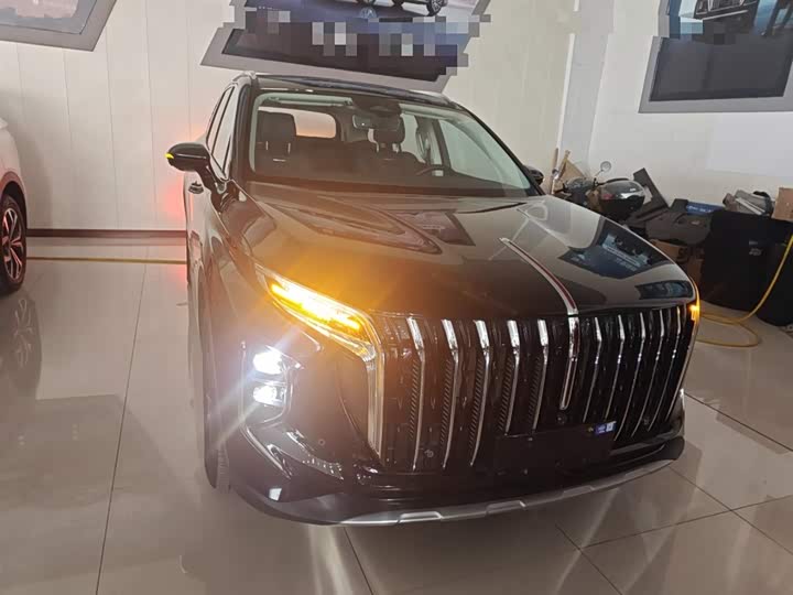 Фото 3 - Hongqi HS7 Hybrid