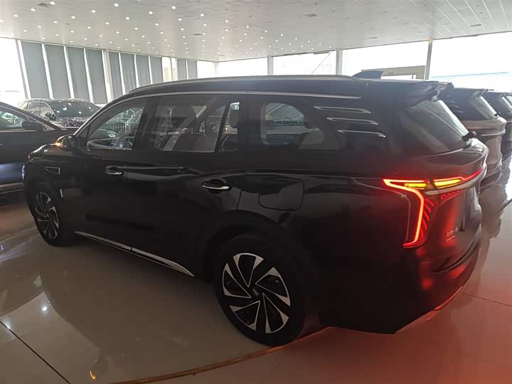 Фото 5 - Hongqi HS7 Hybrid