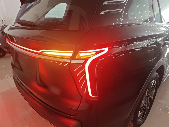 Фото 8 - Hongqi HS7 Hybrid