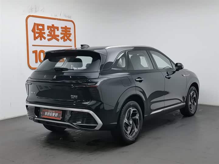 Фото 2 - Hongqi HS3