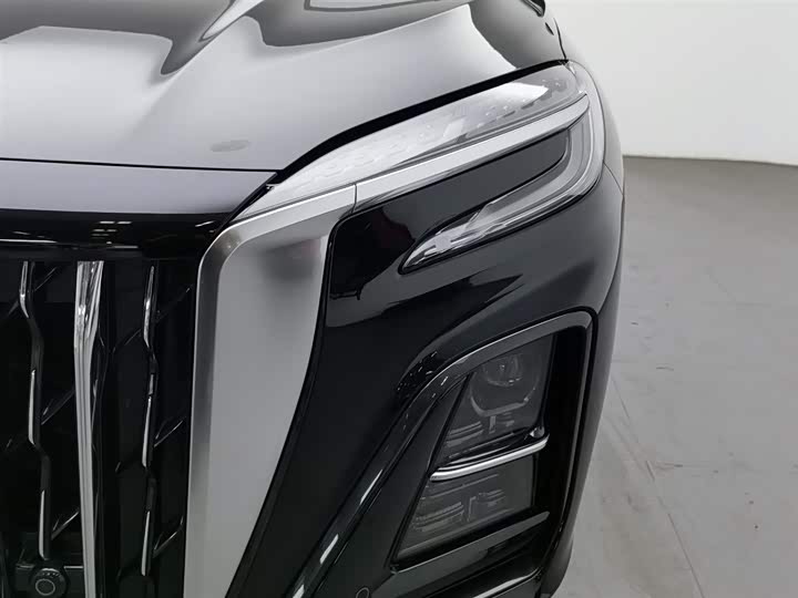 Фото 7 - Hongqi HS3